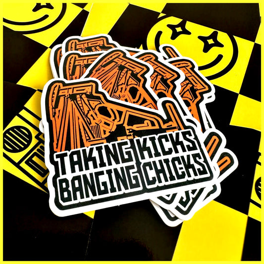 TAKING KICKS BANGING CHICKS • STICKER